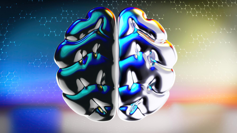 brain-opt_07